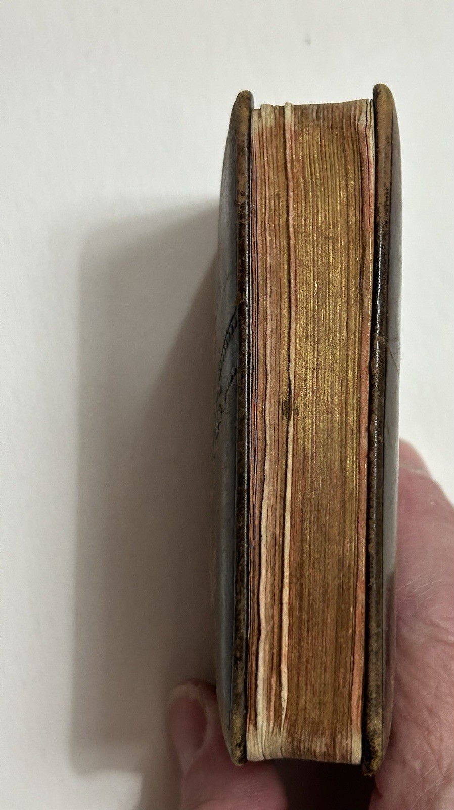 Complete Prayer & Devotional Book For Pious Catholic Christians German 1899 Mini