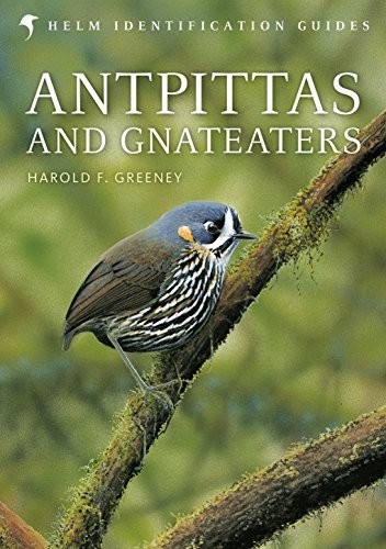 ANTPITTAS AND GNATEATERS (HELM FIELD GUIDES) By Harold Greeney & David Beadle