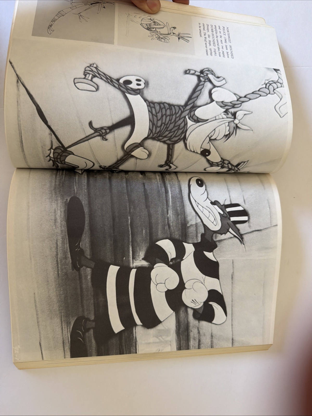 TEX AVERY: KING OF CARTOONS: The Man Who Created Bugs Bunny & Looney Tunes*RARE!