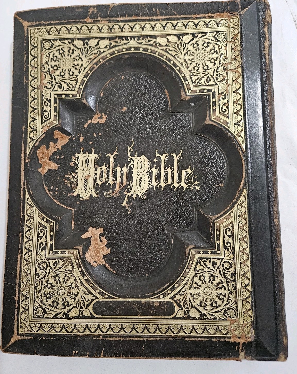 The Peoples&rsquo;s Standard Edition Of The Holy Bible- As is. 1872-1875