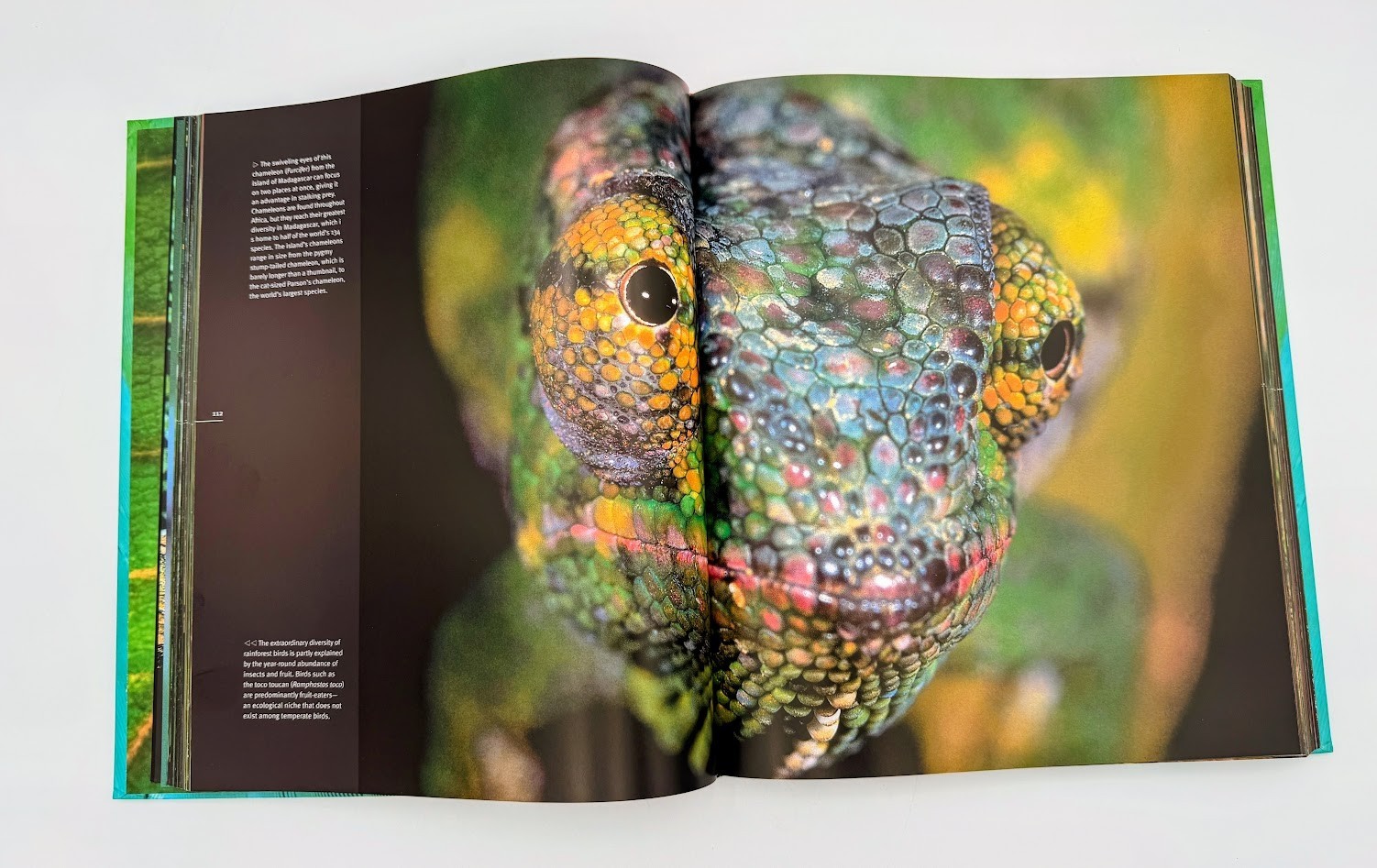Rainforest by Thomas Marent, Hardcover Coffee Table Book with CD