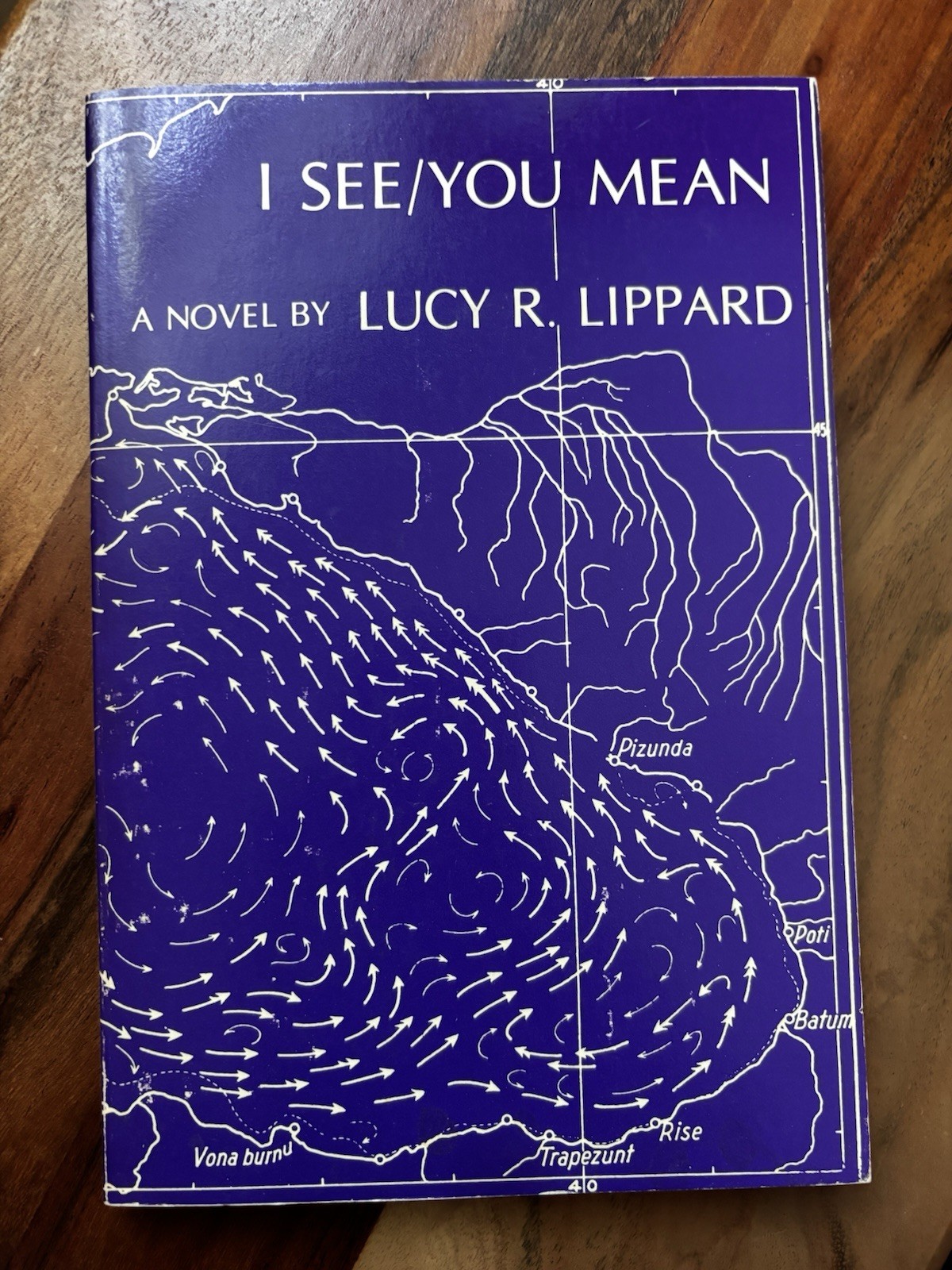 I See/You Mean by Lucy R. Lippard Soft Cover 1st Edition 1979 Vintage