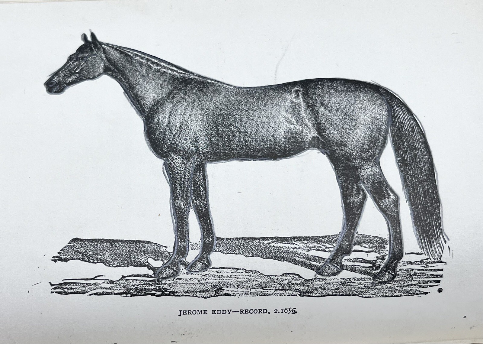 1918 HOW to HANDLE & EDUCATE VICIOUS HORSES-205 Pages-Oscar Gleason-Illustrated