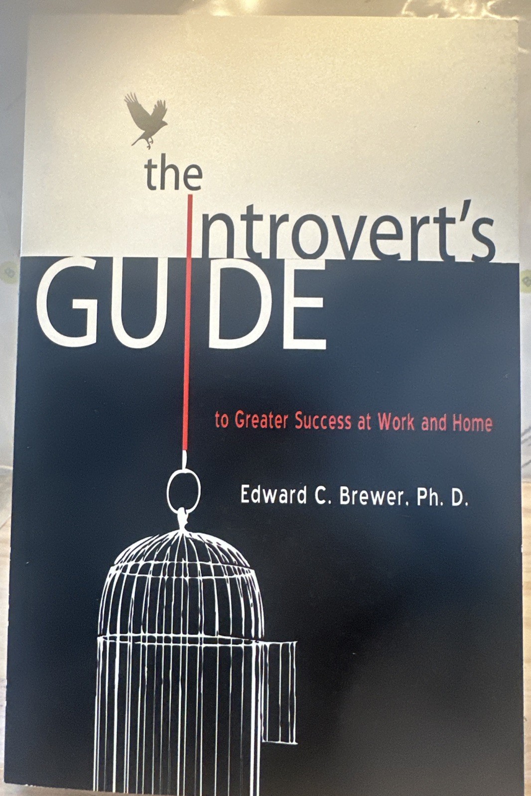 THE INTROVERT&rsquo;S GUIDE TO GREATER SUCCESS AT WORK AND HOME By Edward C. Brewer