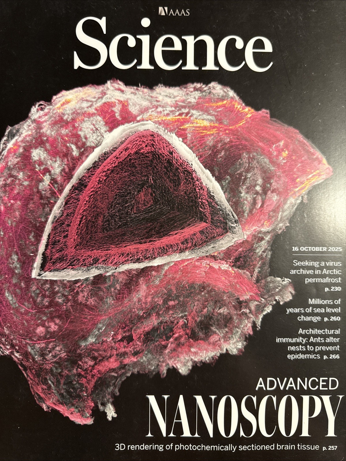 AAAS Science Magazine Vol 390 No 6770 16 October 2025 Nanoscopy 3D Virus Archive