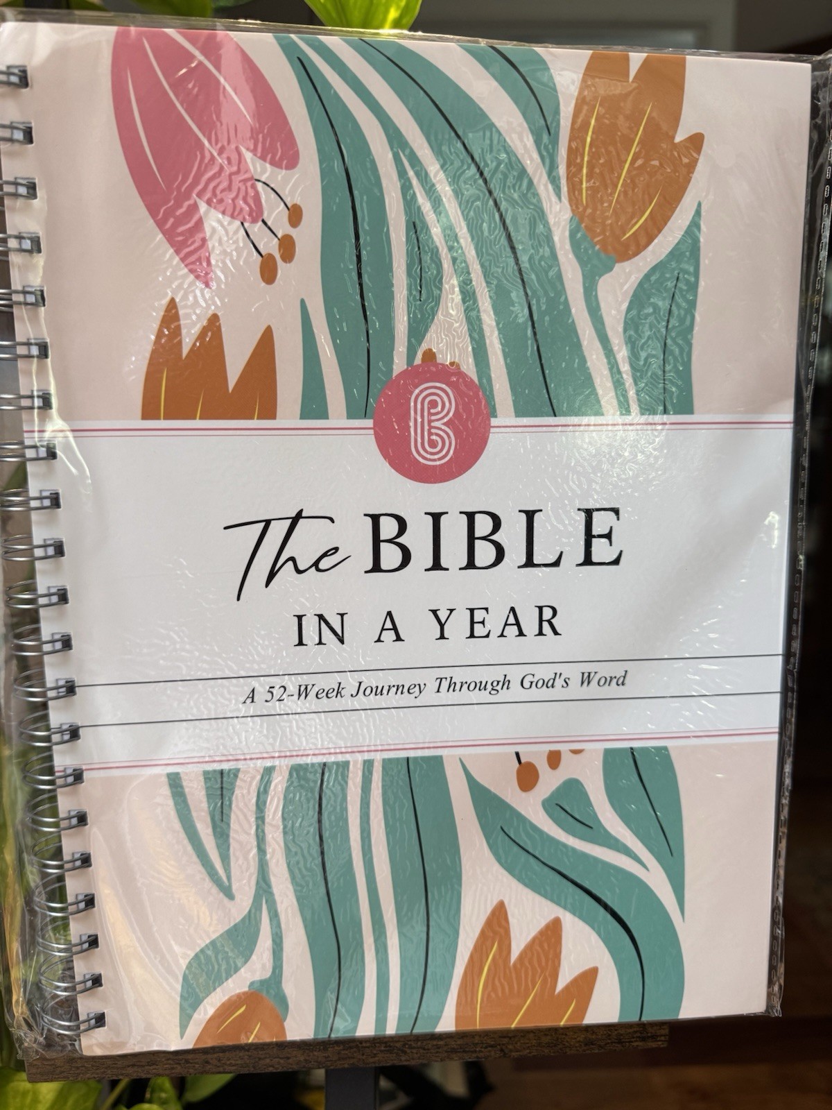 The Bible in a Year Spiral Bound Study Guide for Adults, English, Bible Topic