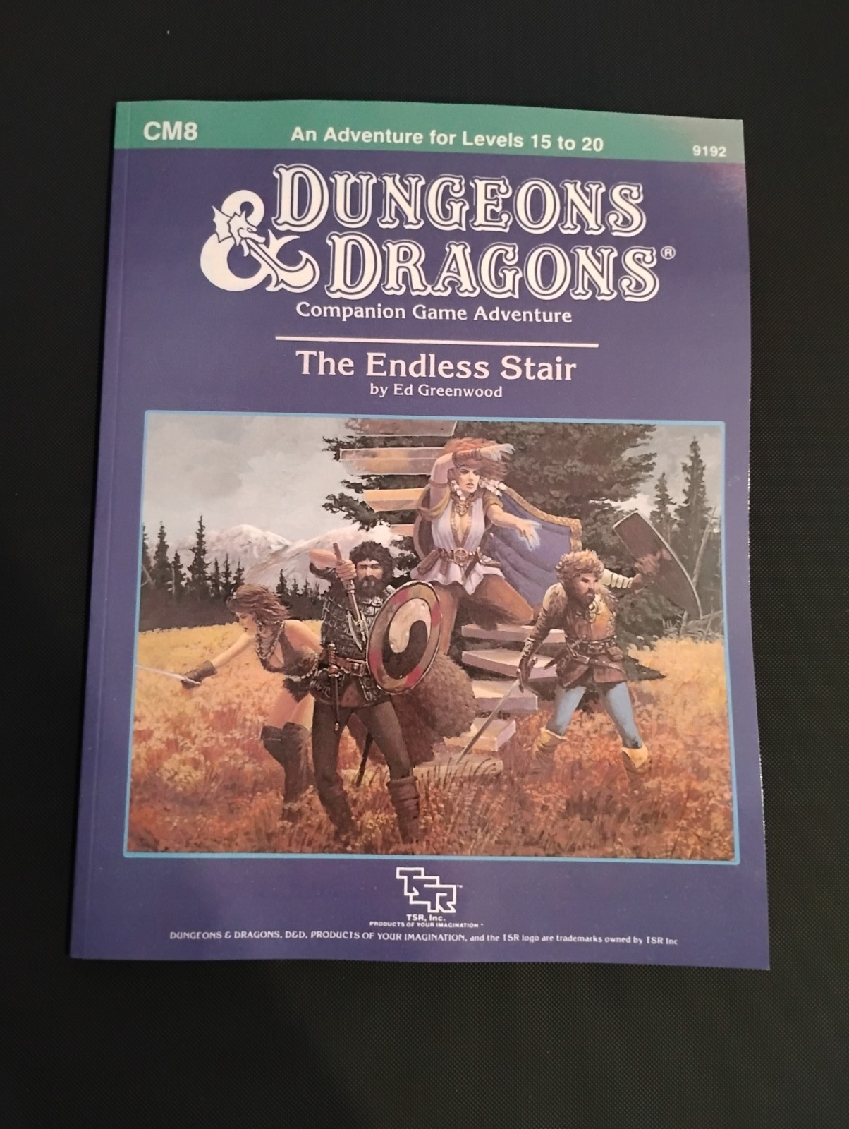 CM8 The Endless Stair – Companion D&D Adventure TSR Dungeons & Dragons