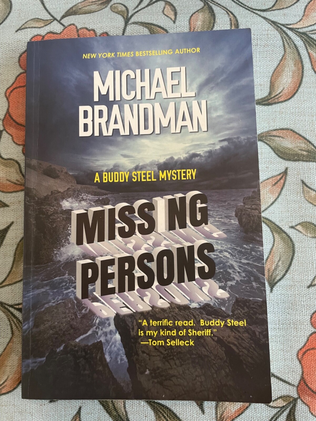 Buddy Steel Mysteries Ser.: Missing Persons by Michael Brandman (2017, Trade…