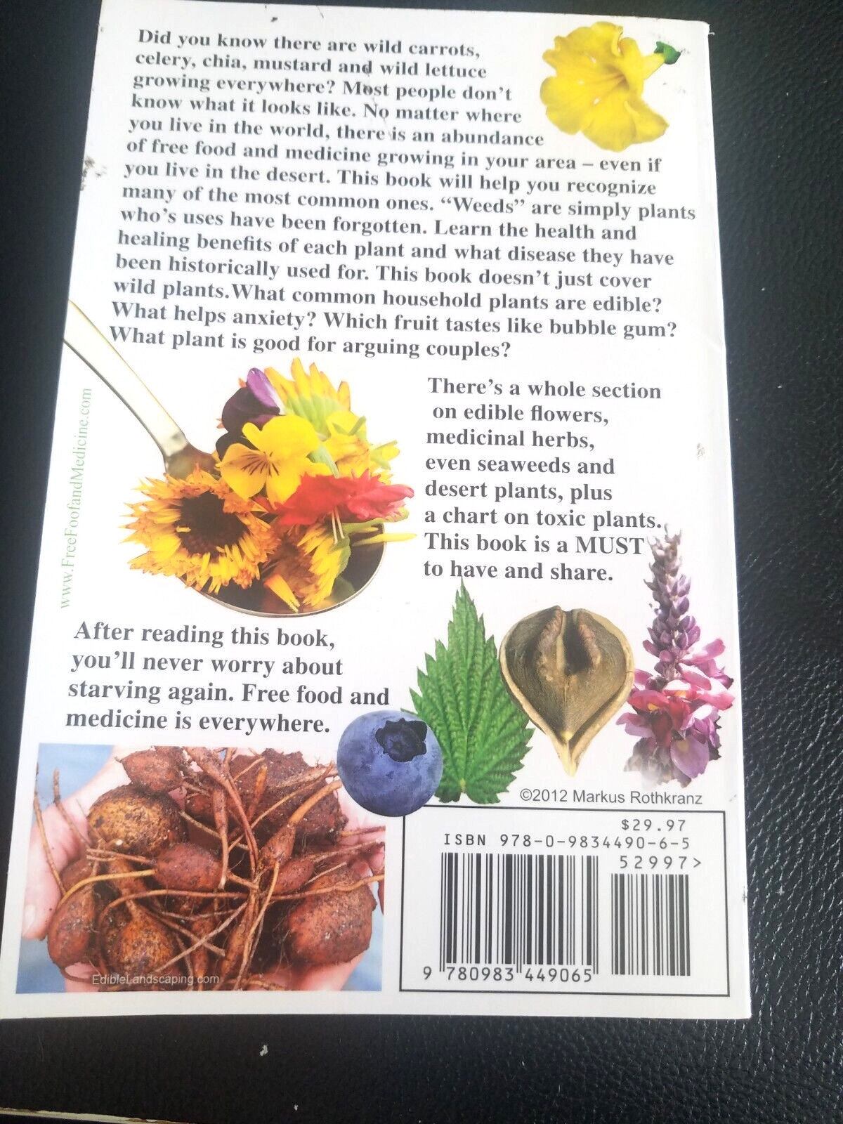 Free Food and Medicine Worldwide Edible Plant Weeds Guide Markus Rothkranz 480p
