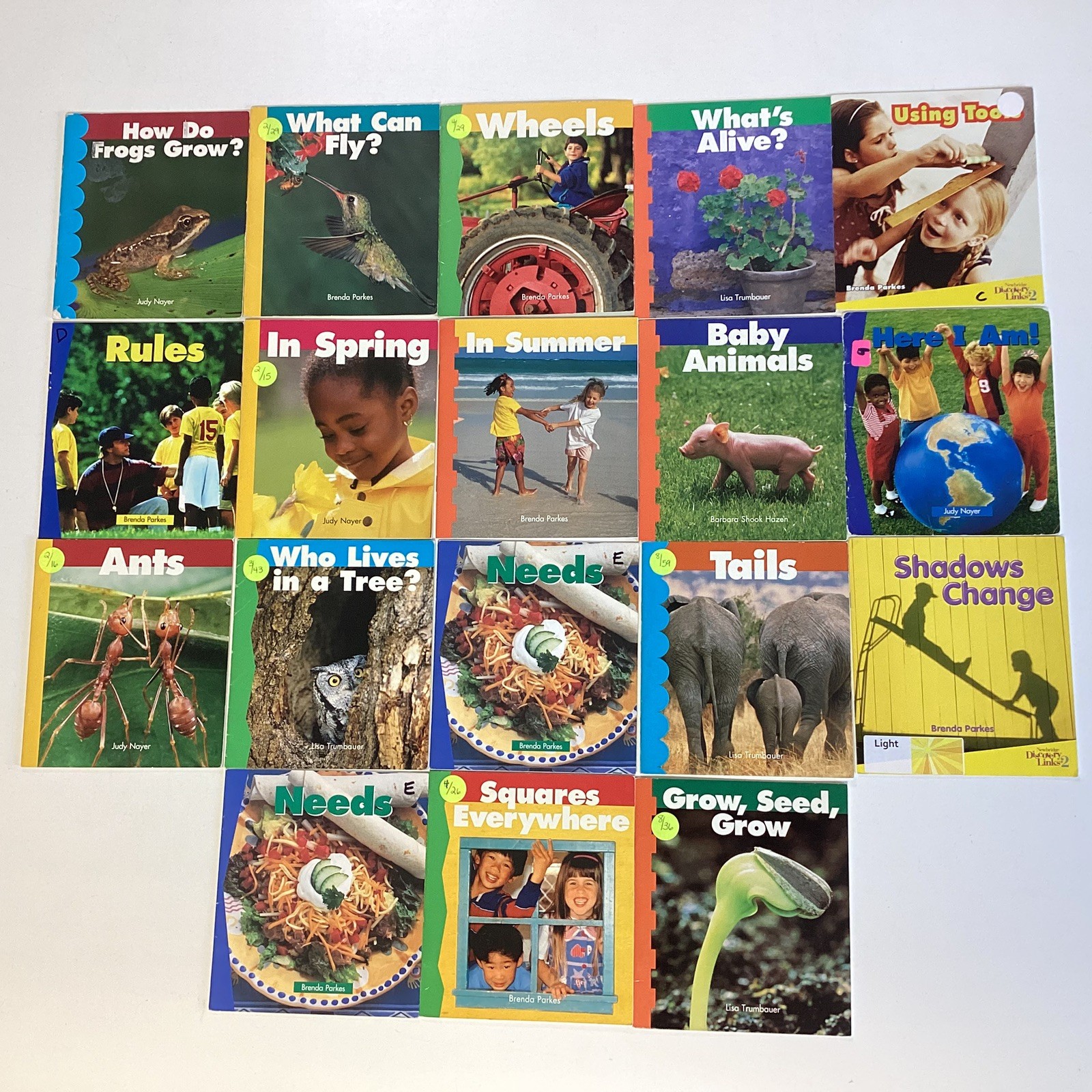 Kindergarten 18 Book Reader Lot Level A-C Newbridge Discovery Links