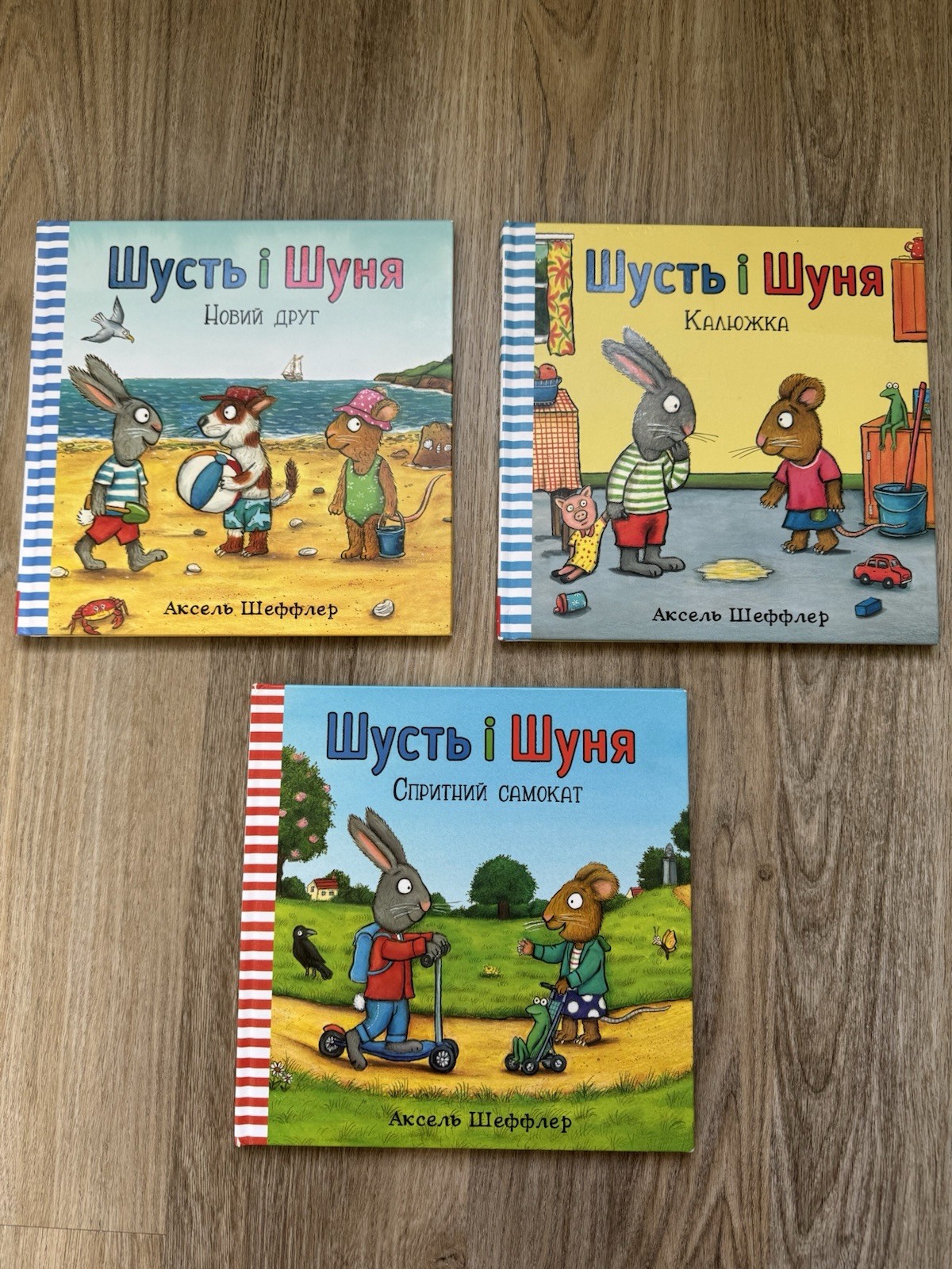 Шусть і Шуня: Спритний самокат Hardcover Ukrainian Ages 0-4 Illus 2018