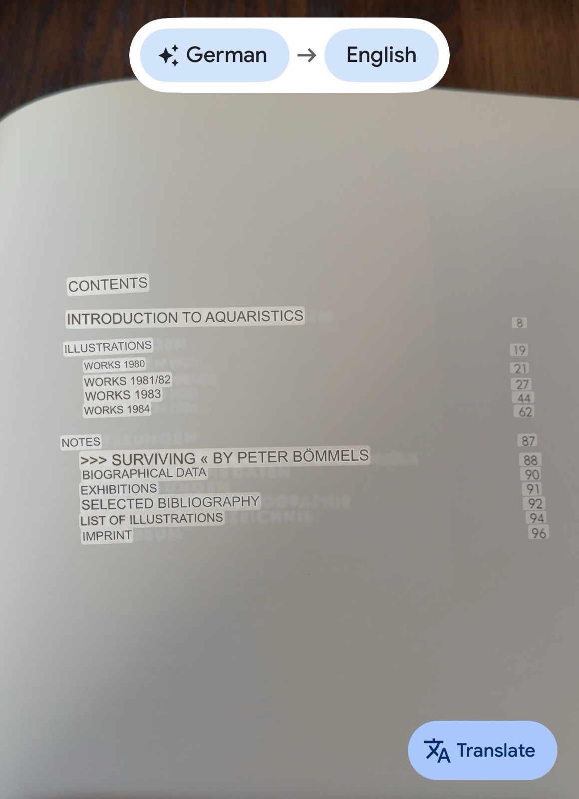 Hans-Peter Adamski: Arbeiten, 1980-1984 (German Edition)