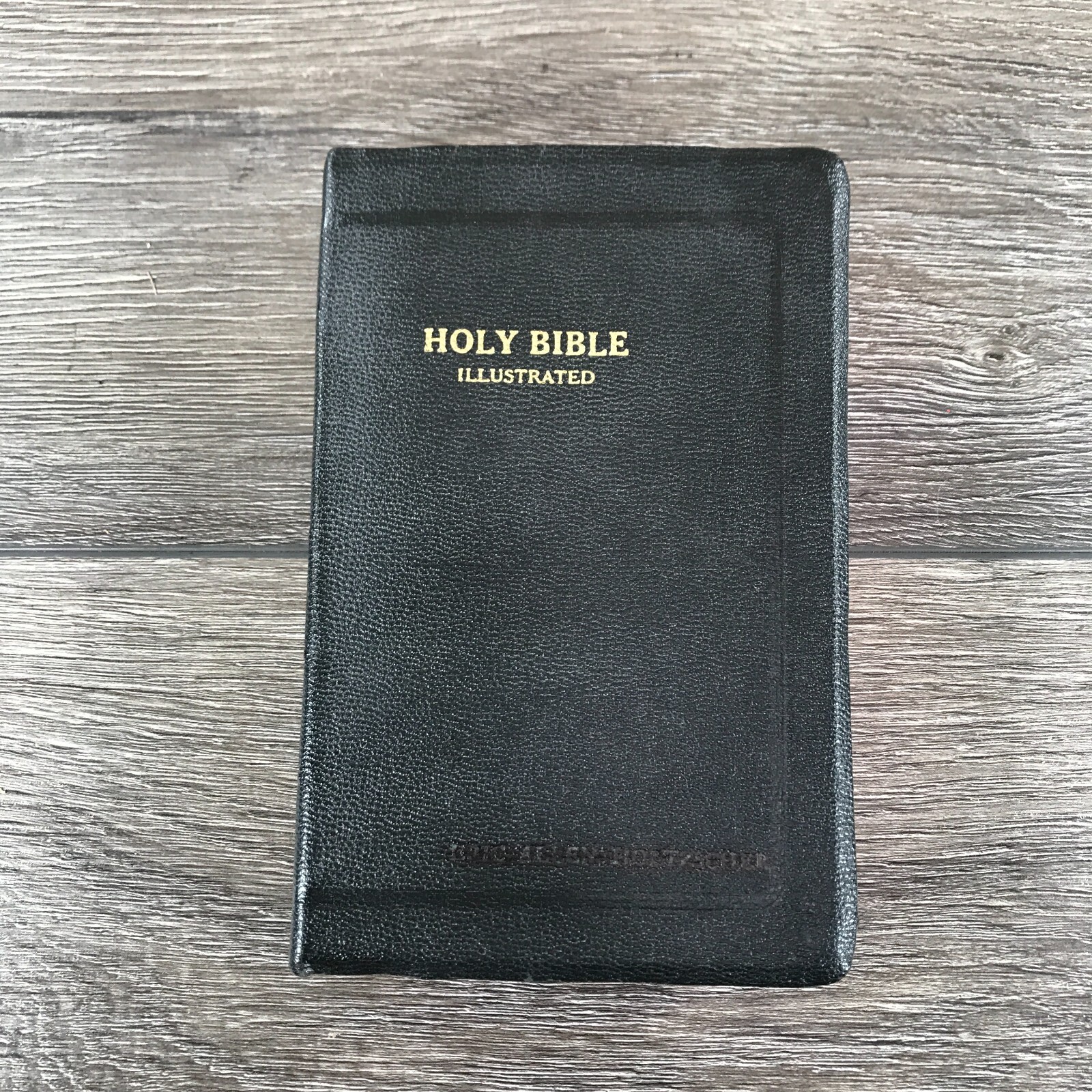 Holy Bible Illustrated KJV Red Letter Self Pronouncing World Publish Black Small