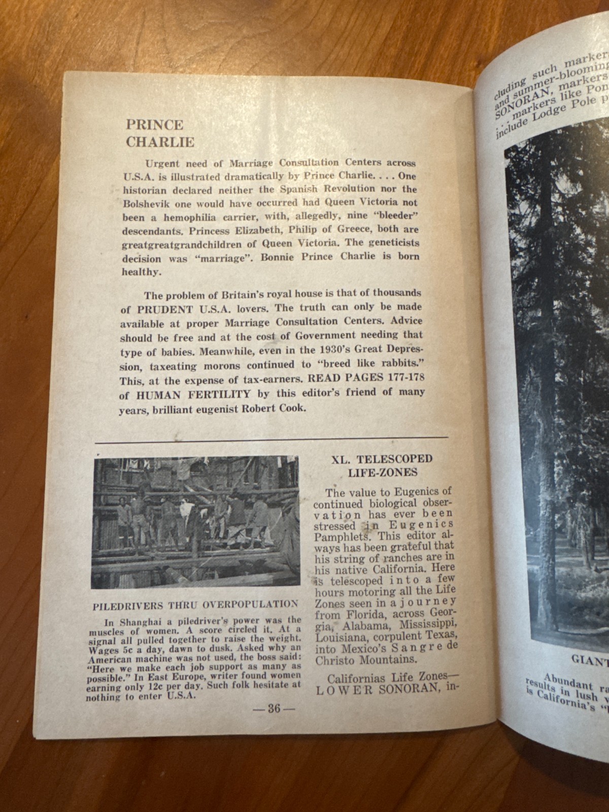 FOR CHARITY! 1920s (?) Eugenics Pamphlets No. 88 & 89 Society of Northern CA