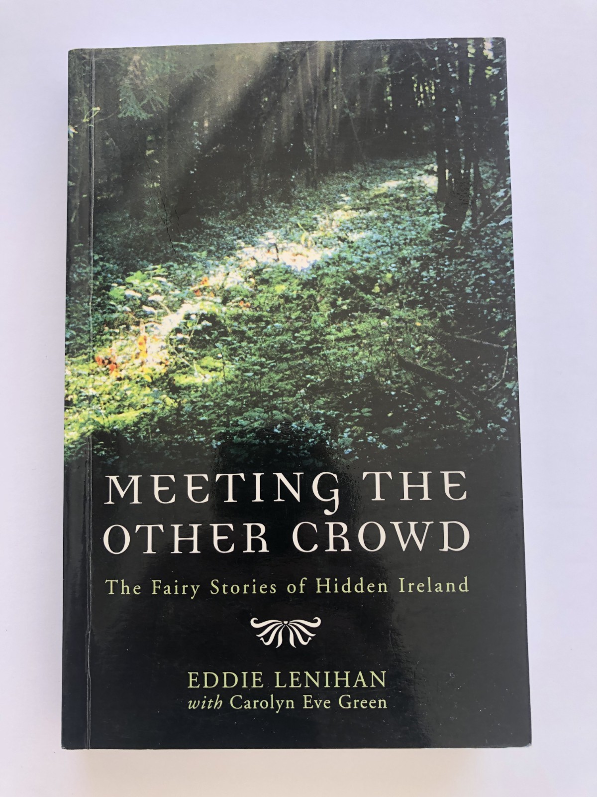 &lsquo;MEETING THE OTHER CROWD : The Fairy Stories of Hidden Ireland&rsquo; Signed-332 Pages