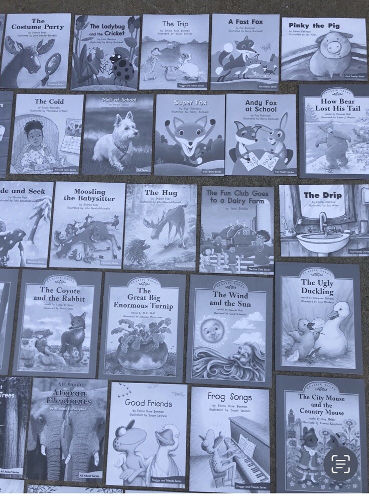 FOUNTAS & PINNELL Blue LLI System Books 1-120 Set Levels C-N Take-Home Readers