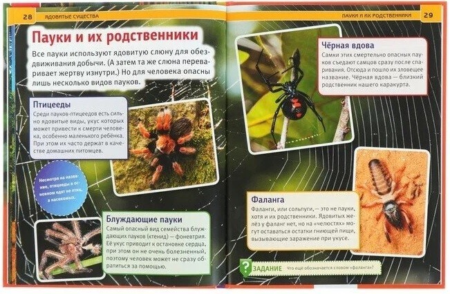 Encyclopedia A4 « Poisonous creatures », 165 × 215 mm, hardcover