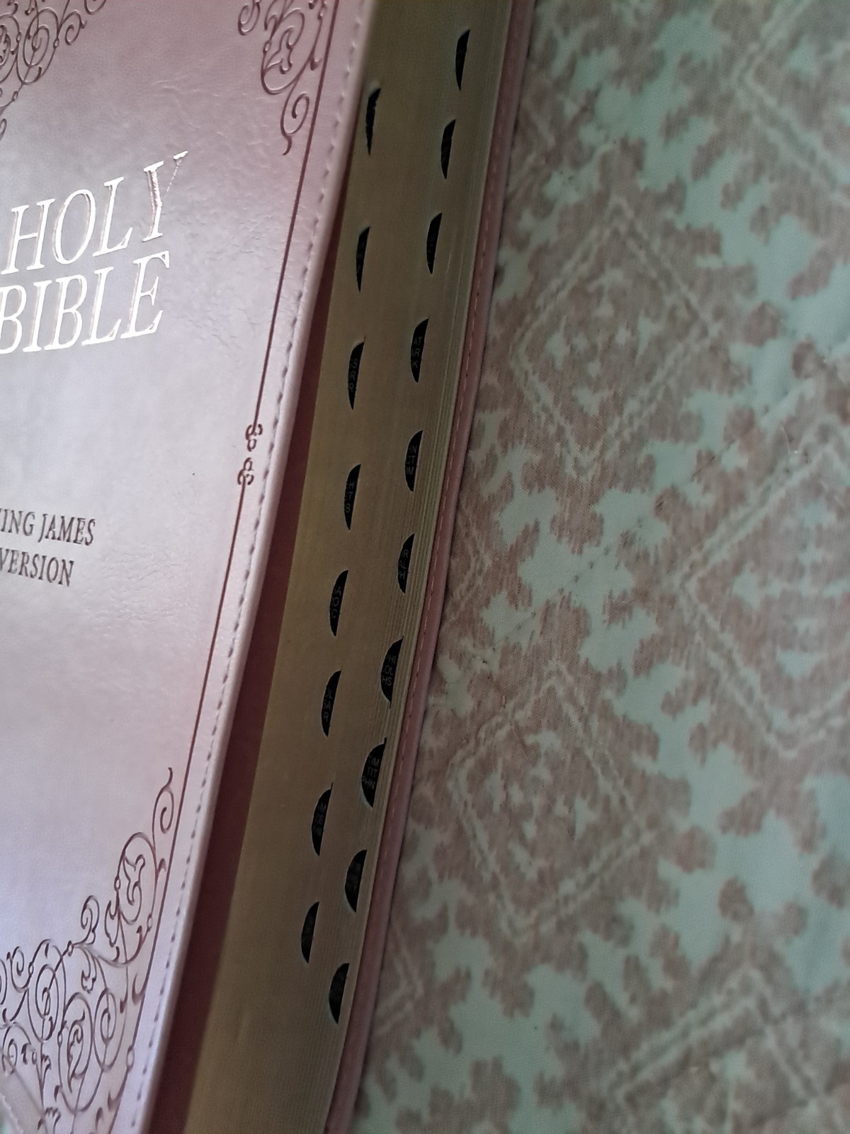 Holy Bible King James Version Full-Size Giant Print Edition Pink