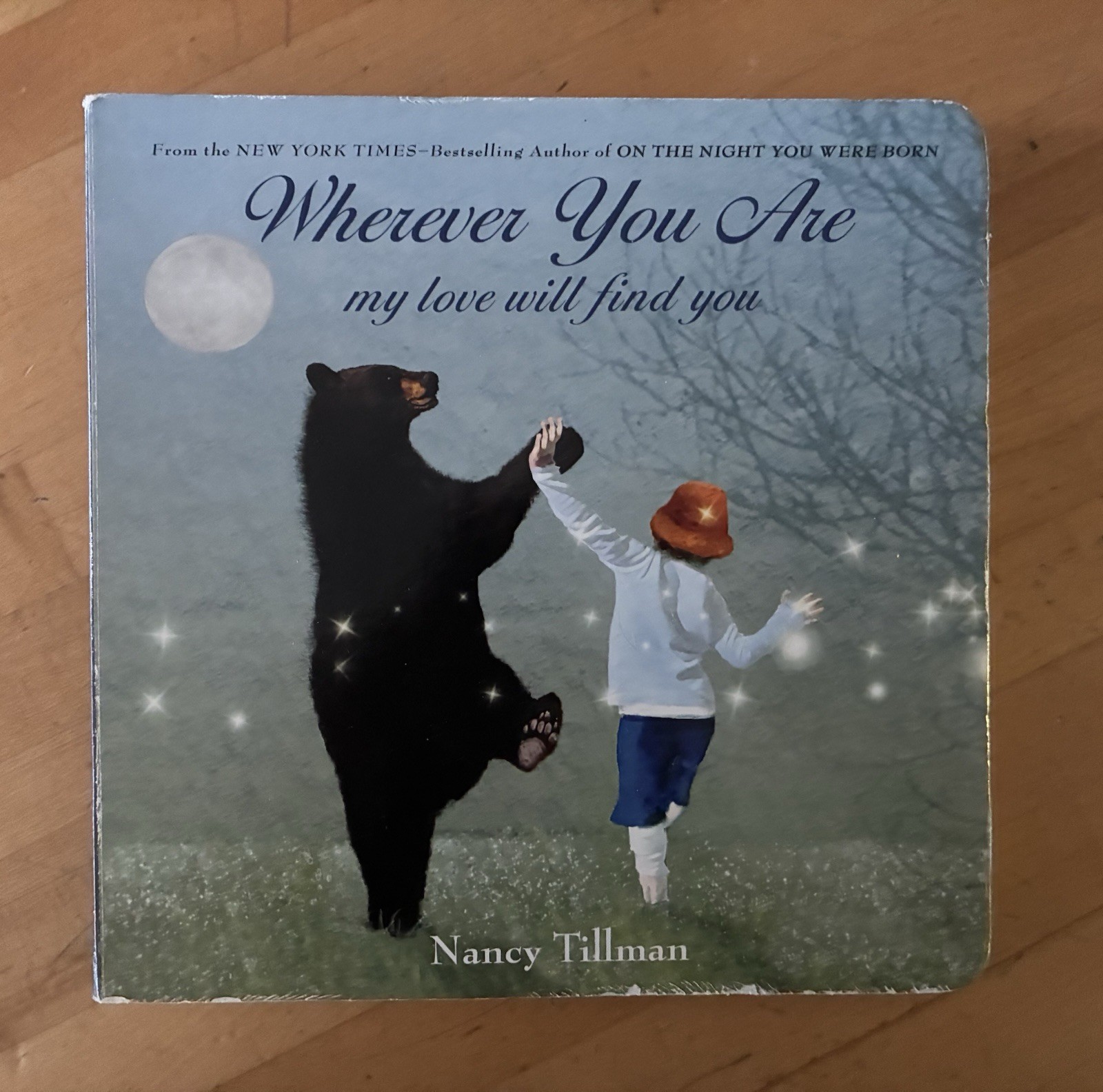 Wherever You Are My Love Will Find You by Nancy Tillman 2013 Feiwel and Friends