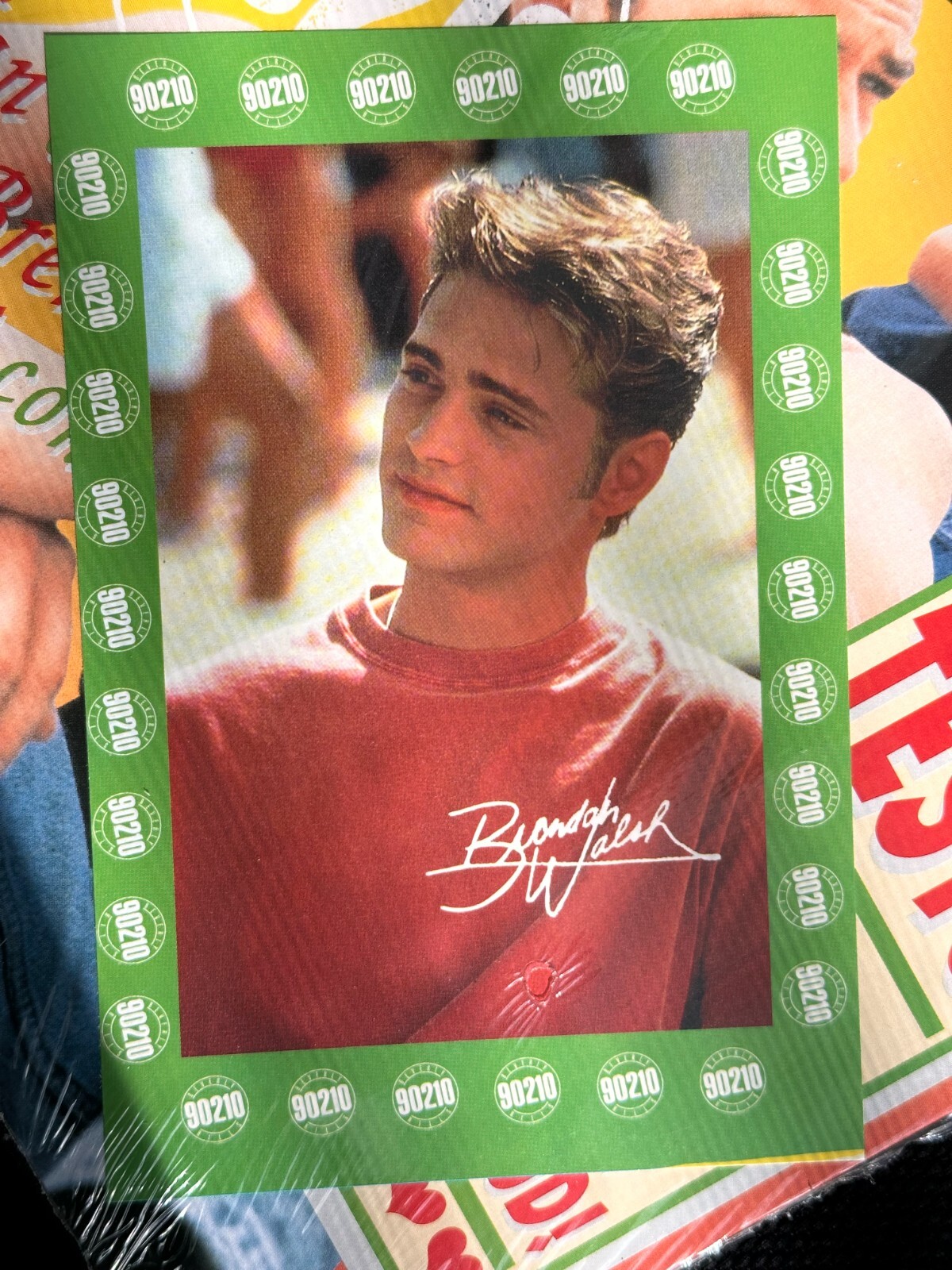 BEVERLY HILLS 90210 Album – 180 pages/2 poster w/Brandon postcard NIP