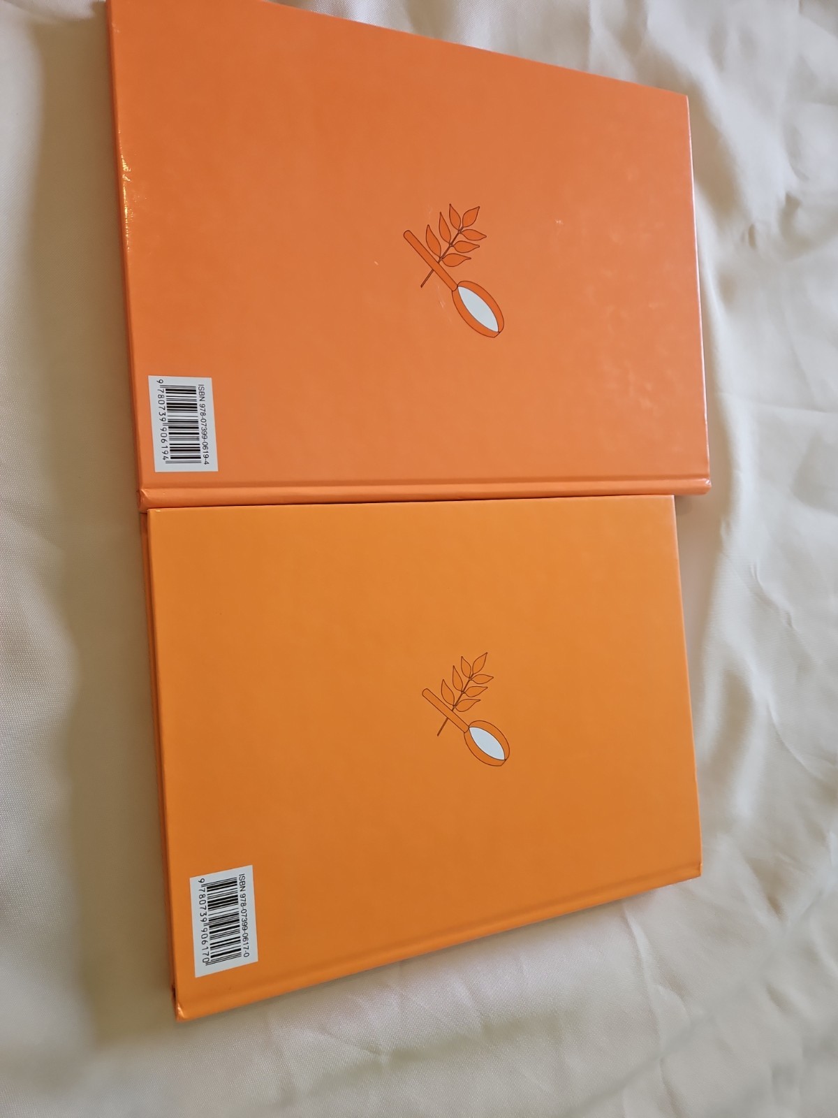 God&rsquo;s Inhabited World Rod And Staff 2 Books Student And Teacher&rsquo;s Manual (U)