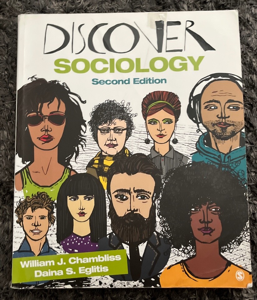 Discover Sociology 2nd edition PB by Chambliss & Eglitis. used. good condition
