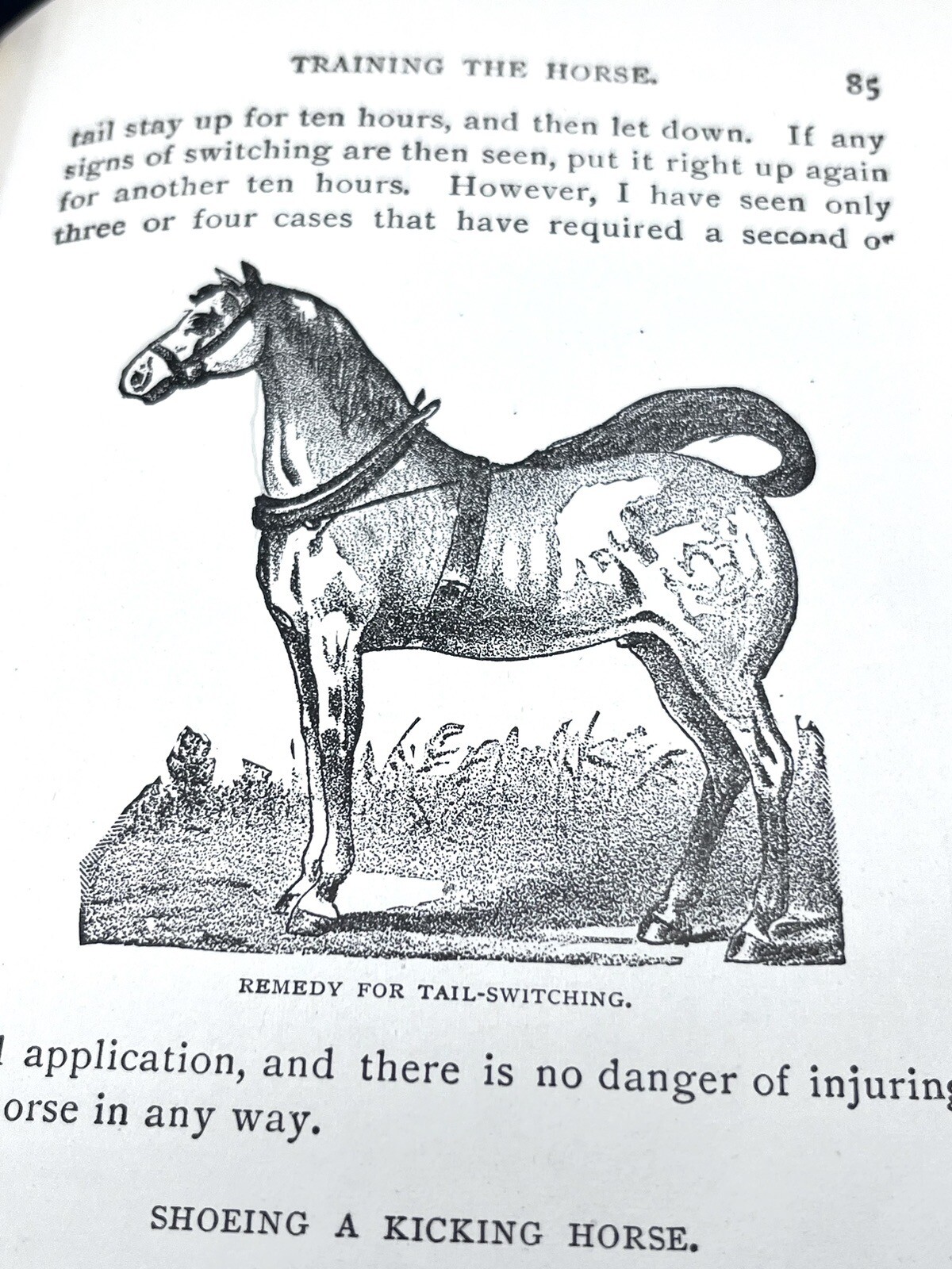 1918 HOW to HANDLE & EDUCATE VICIOUS HORSES-205 Pages-Oscar Gleason-Illustrated