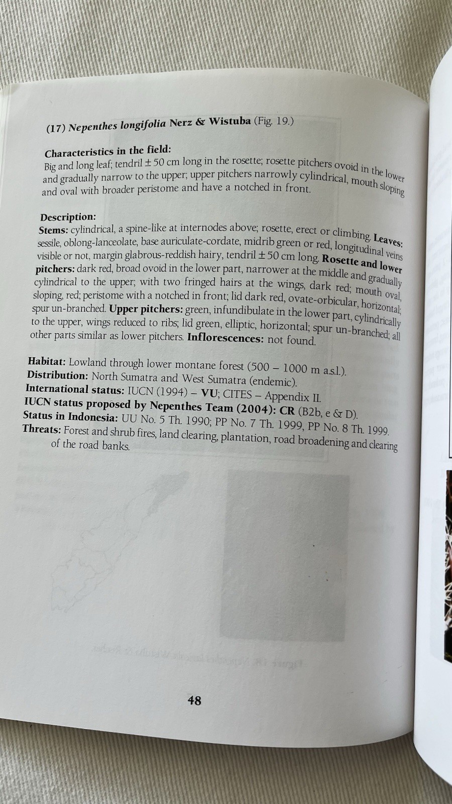 A Field Guide to the Nepenthes of Sumatra 2006 Rare Carnivorous Plant Book