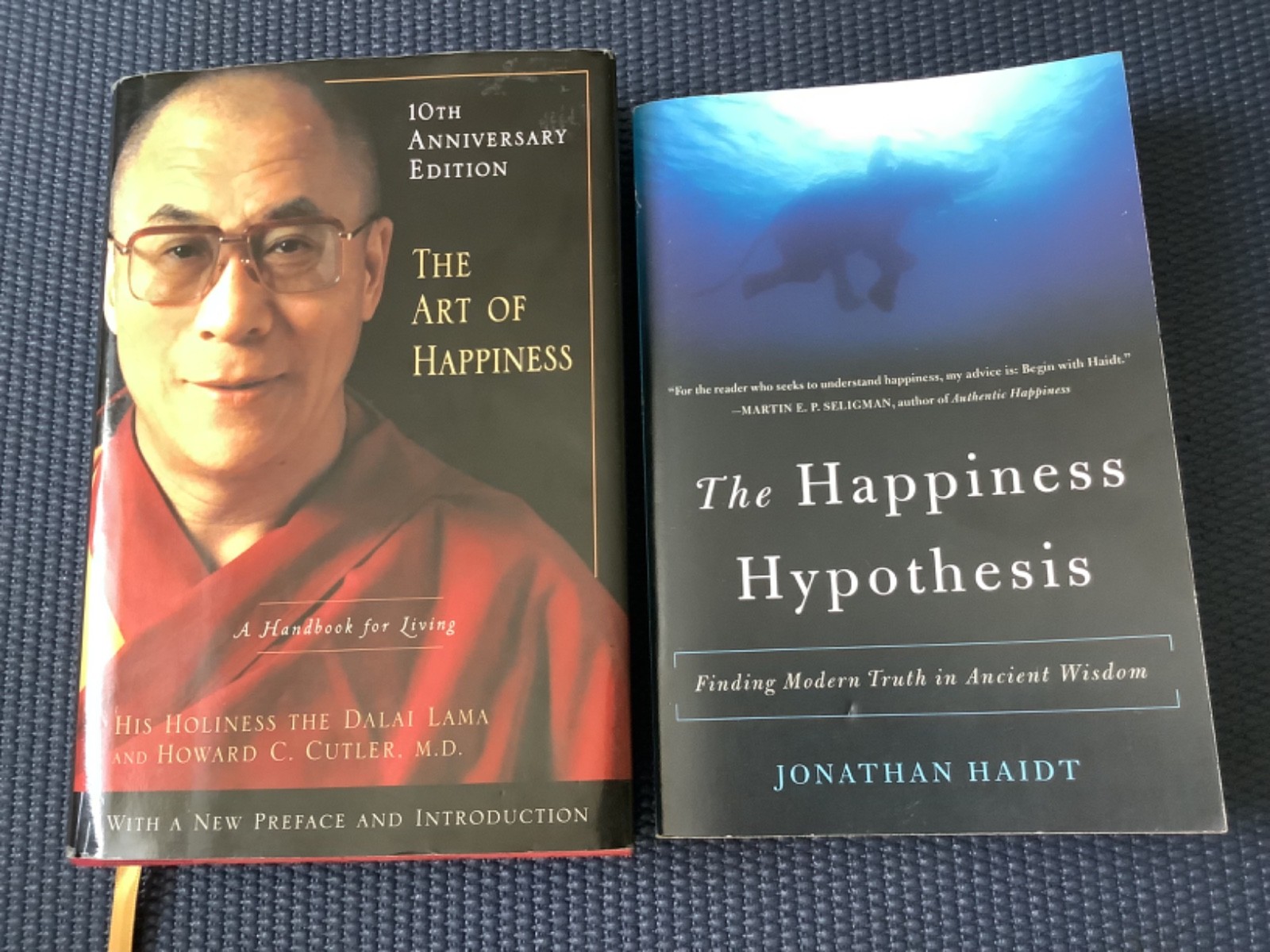 The Art of Happiness Dalai Lama Hypothesis Jonathan Haidt Happy Psychology Books