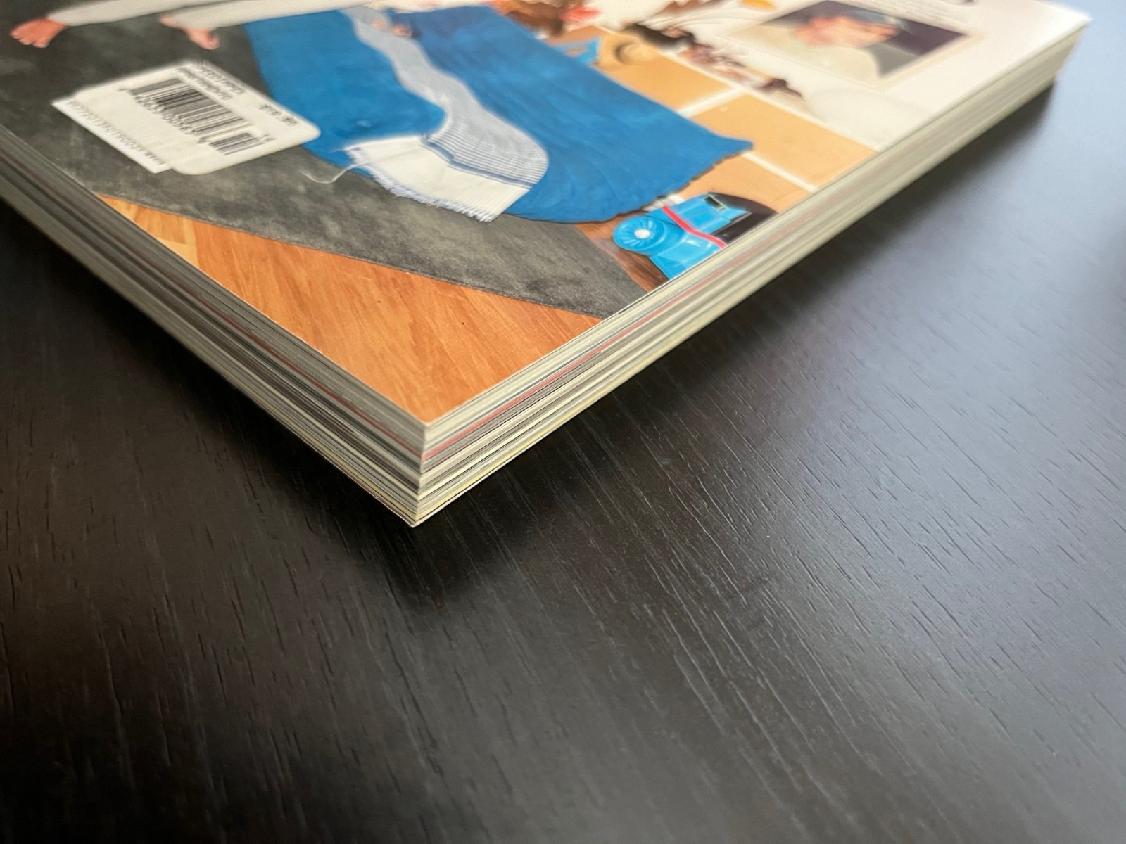 MINT* Apartamento Magazine Issue 14 Raymond Pettibon Peter Halley art 2014-2015