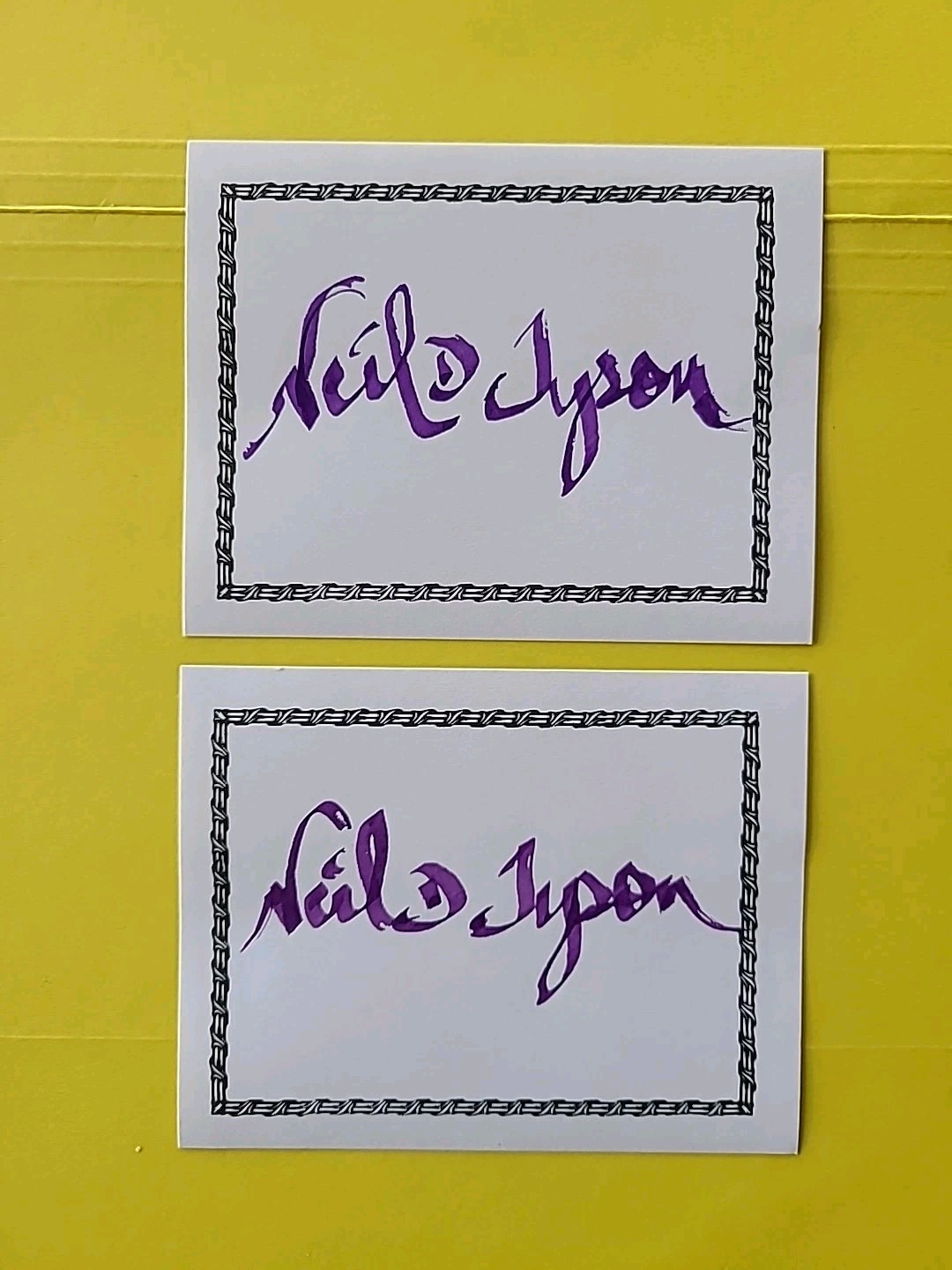Neil deGrasse Tyson Hand Signed, Autographed Bookplate ,No Inscription.