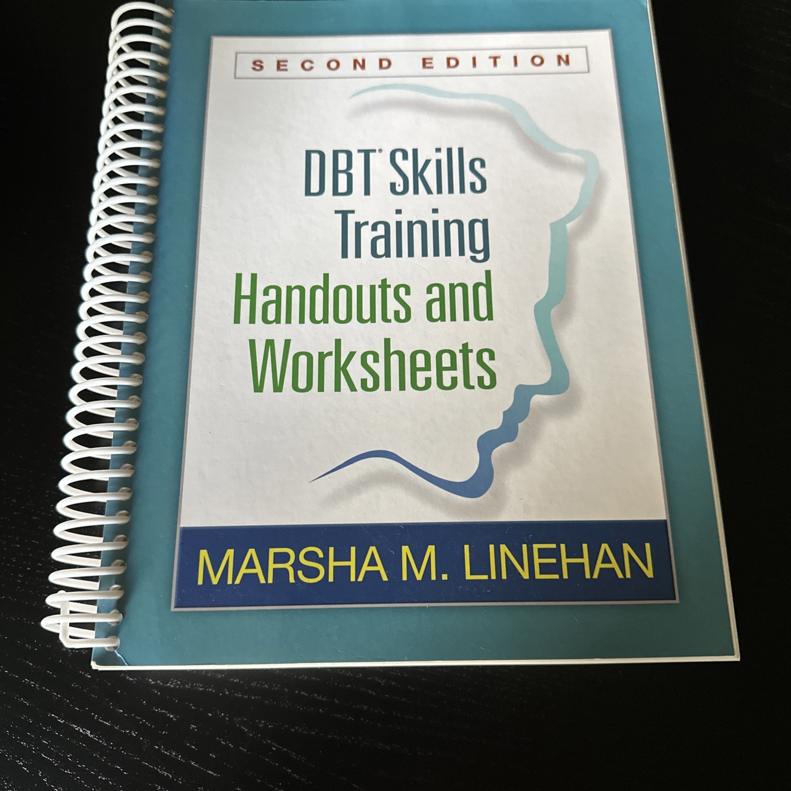 DBT Skills Training Handouts and Worksheets by Marsha M. Linehan (2014)