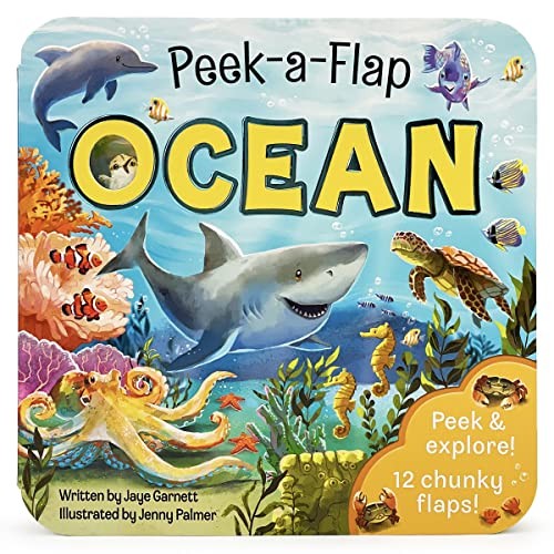 Ocean (Peek-A-Flap) – ACCEPTABLE