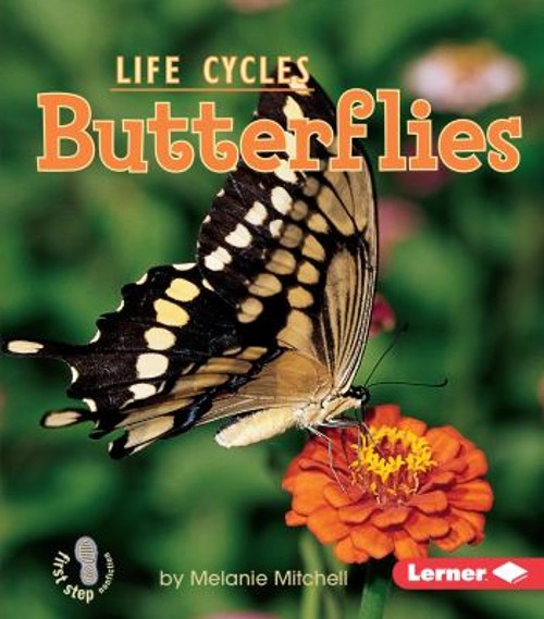 Butterflies Paperback Melanie Mitchell