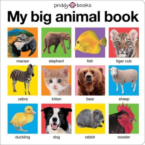 My Big Animal Book (My Big Board Books) – Board book By Priddy, Roger – GOOD