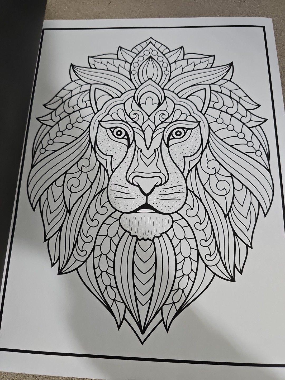 100 Animals Adult Coloring Book NEW Jade Summer Elephant Owl Horse Dog Cat Lion