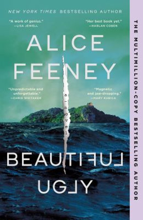 Beautiful Ugly : A Novel Paperback Alice Feeney