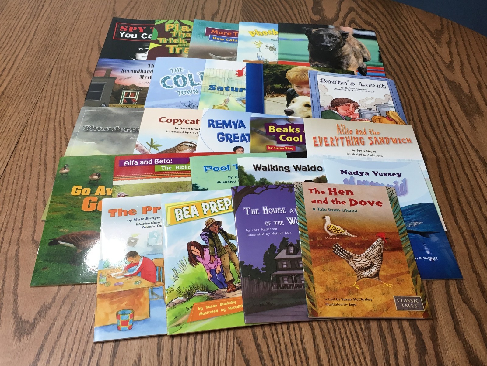 FOUNTAS & PINNELL LEVELED LITERACY INTERVENTION 24 COLOR READERS / RED LEVEL L