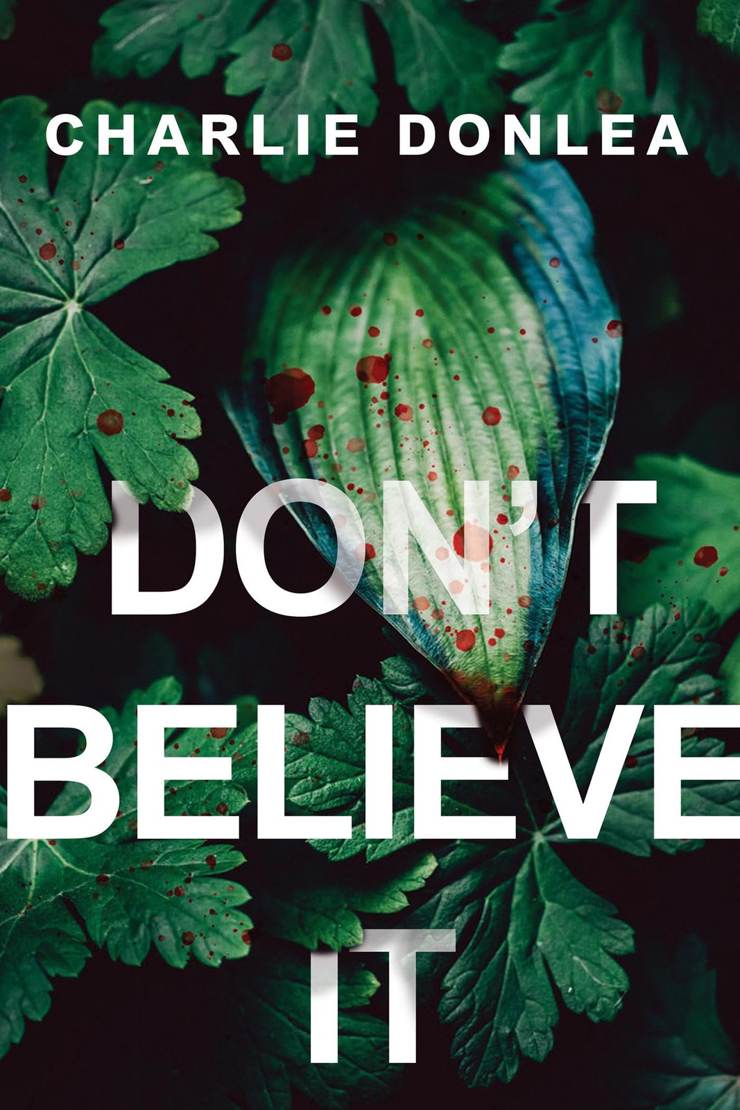 Don&rsquo;t Believe It