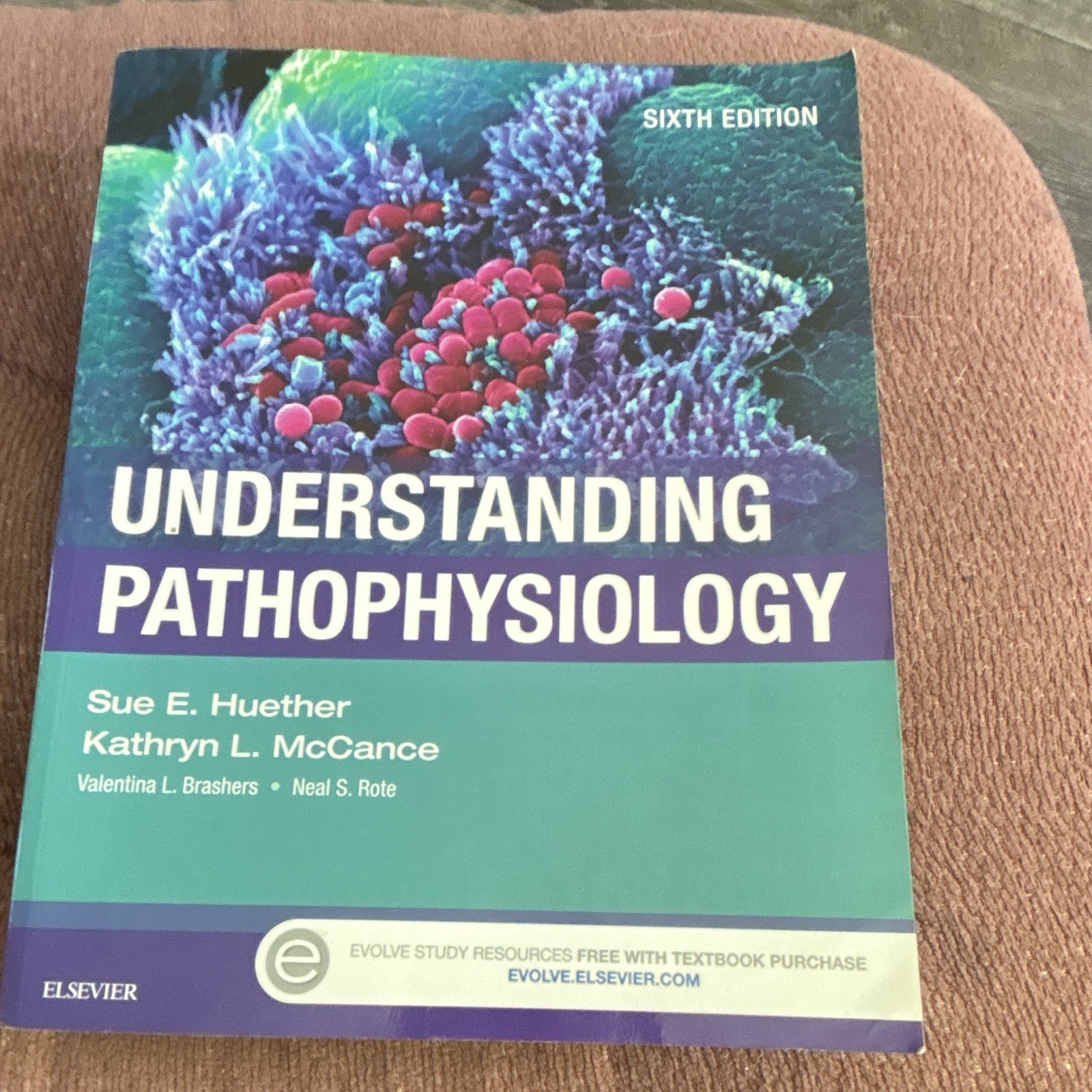 Elsevier Understanding Pathophysiology 6th Ed 2016 Paperback Huether McCance