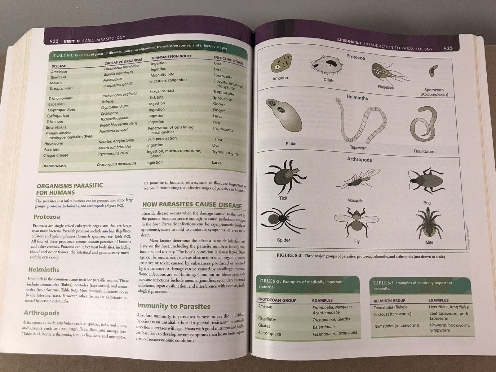 Basic Clinical Laboratory Techniques – Sixth 6th Edition – 2012 Paperback