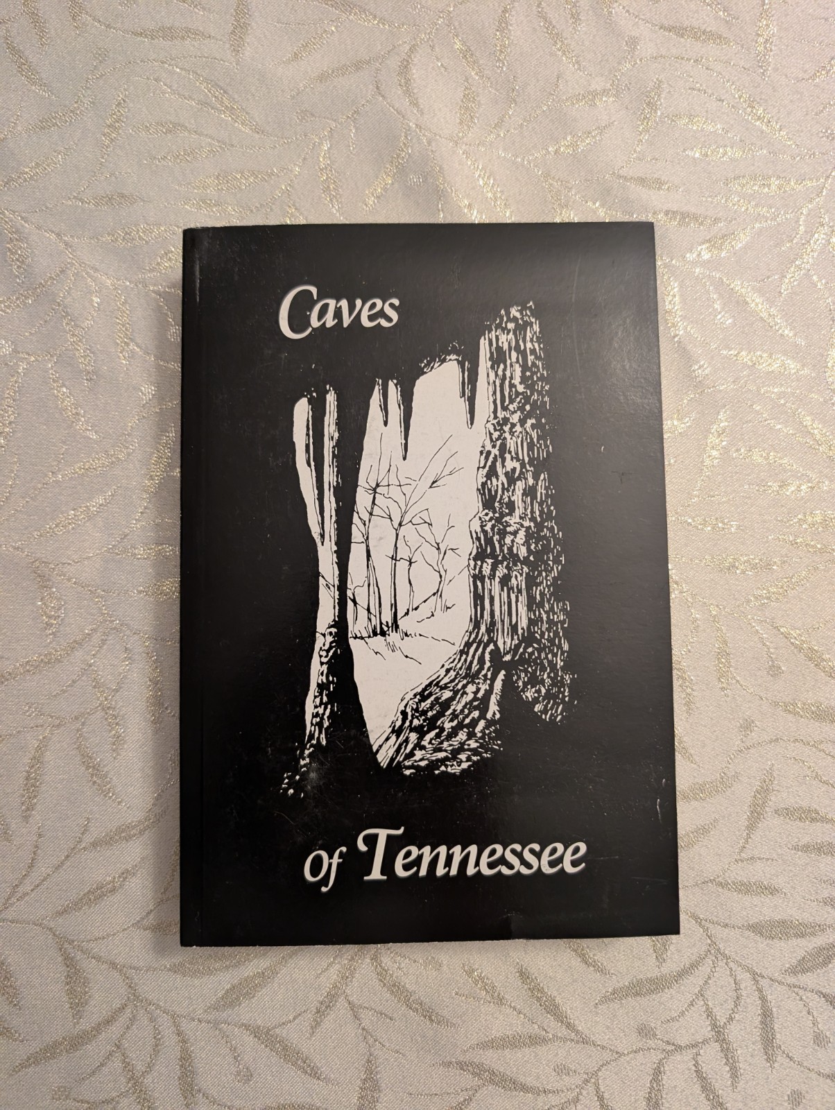 Caves Of Tennessee Thomas Barr, With Map, Geology, Tennessee Caving Caves
