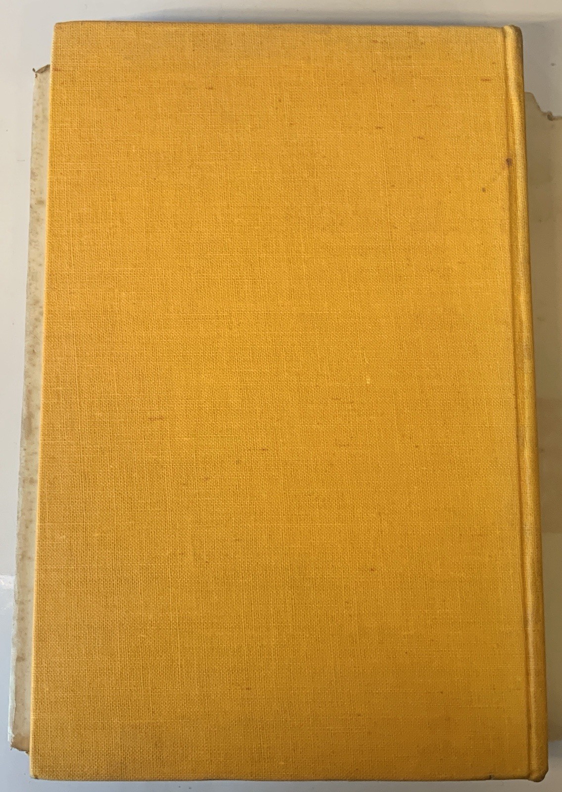 Raggle Taggle Walter Starkie 1940 Arthur Rackham Gypsy Travel Fiddle HB/DJ