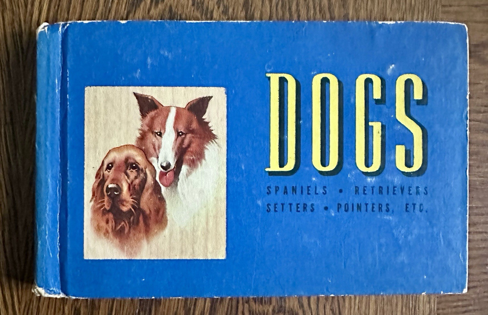 Vintage 1941 The Blue Book of Dogs Robert Briggs Logan Ole Larsen