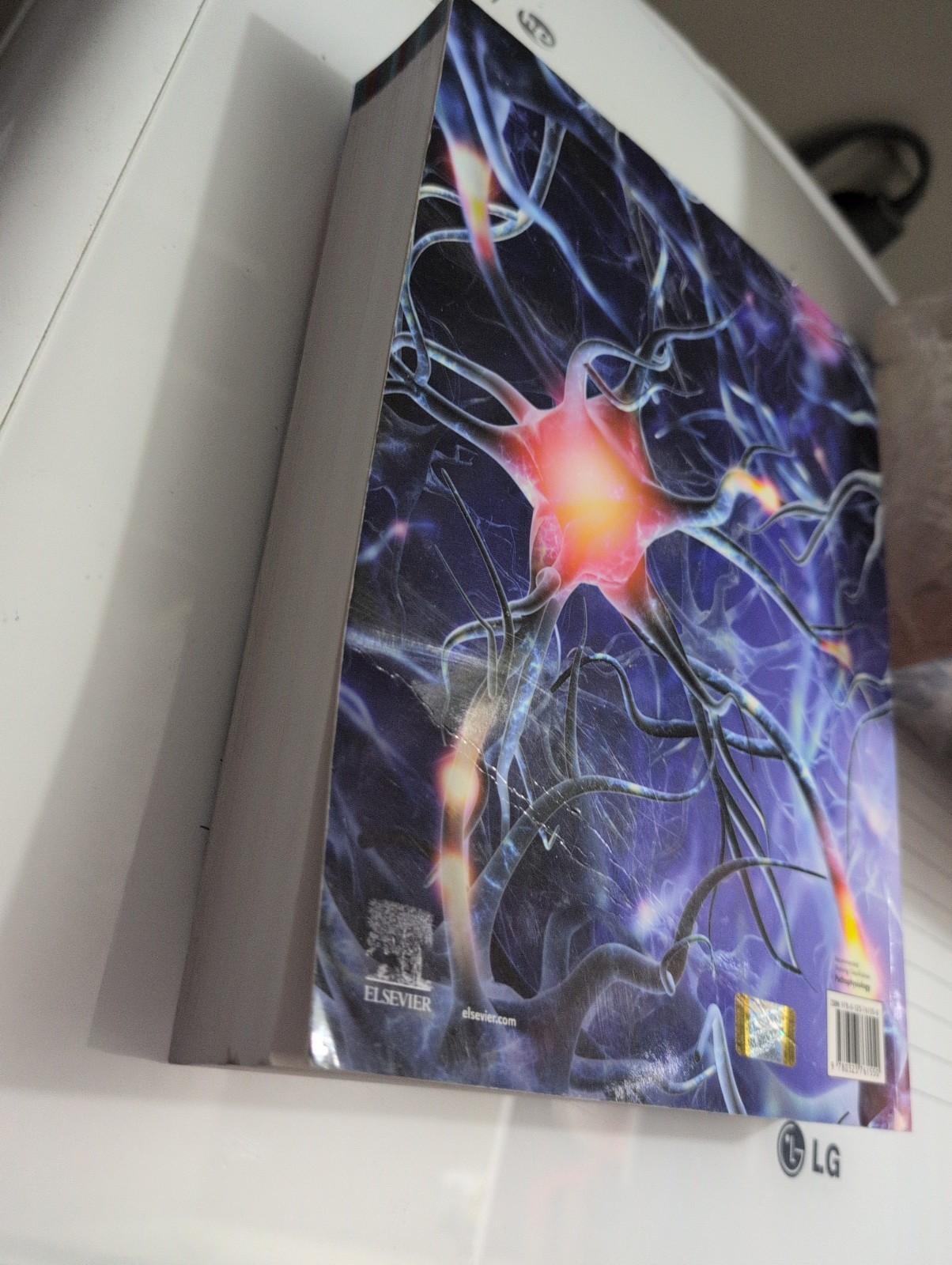 Pathophysiology – Paperback, by Banasik PhD ARNP Jacquelyn L. – Very Good