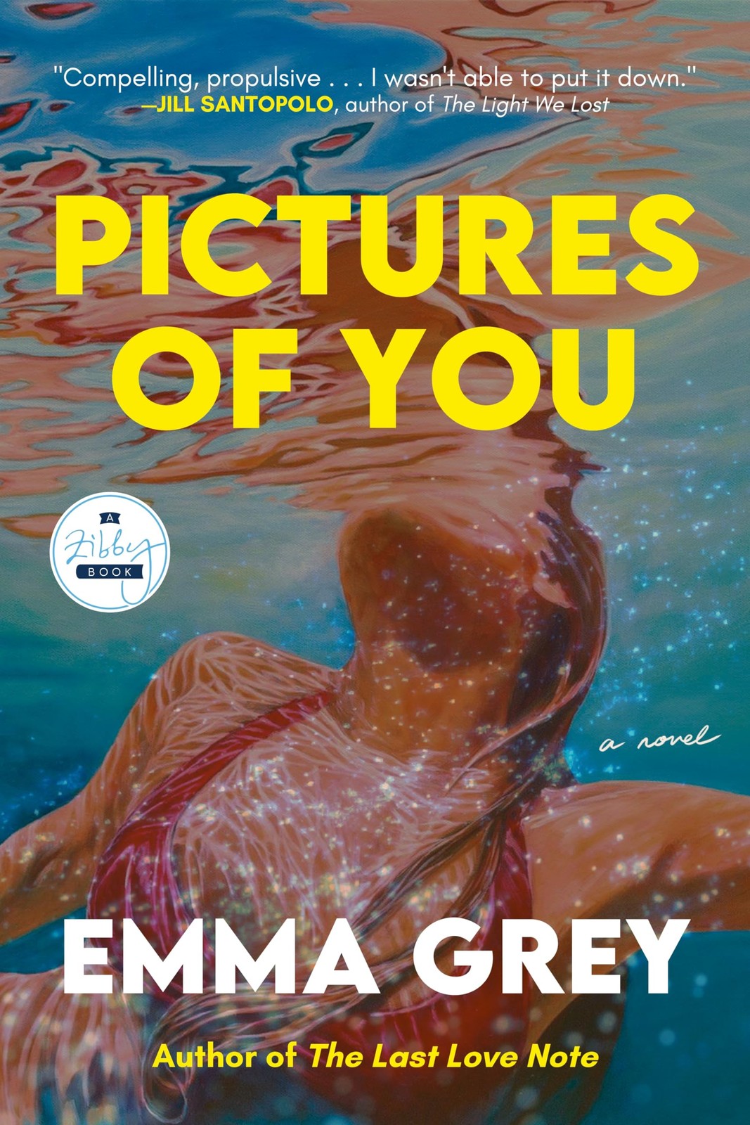 Pictures of You: A Novel – hardcover Grey, Emma