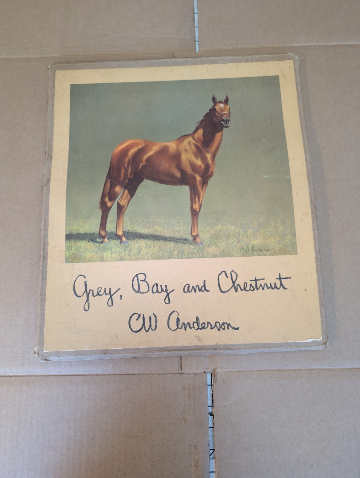 C.W. Anderson Grey Bay and Chestnut Horse Print Portfolio 1955 Harper 9 of 10