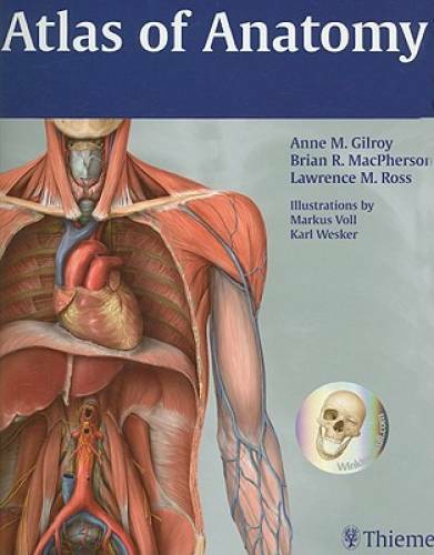 Atlas of Anatomy (Thieme Anatomy) – Paperback By Gilroy, Anne M – GOOD