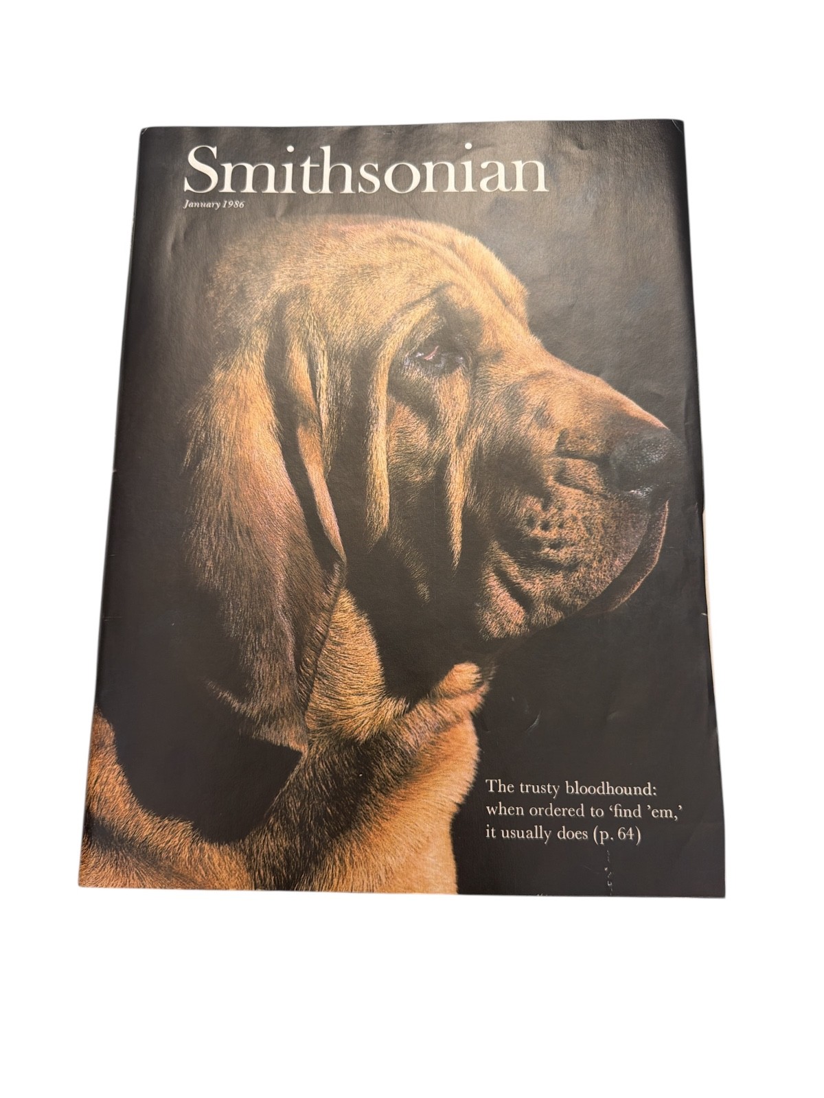 Smithsonian Magazine January 1986 Vol 16 No 10 Bloodhound Dog Cover