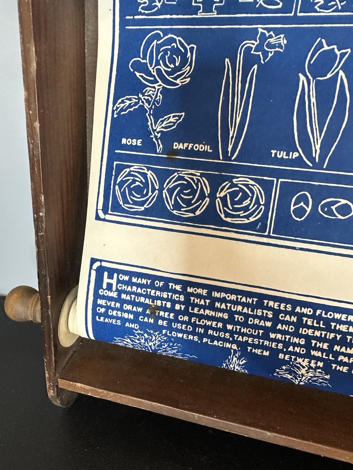 vintage Visual Instructor educational scroll/ How To Draw Scroll